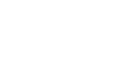 Tarihi Diyarbakır Ciğercisi